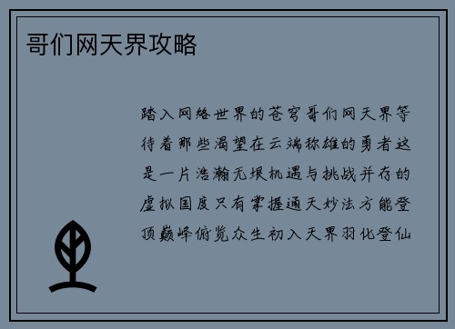 哥们网天界攻略
