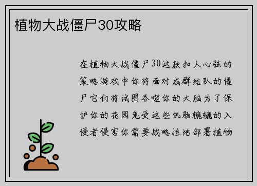 植物大战僵尸30攻略