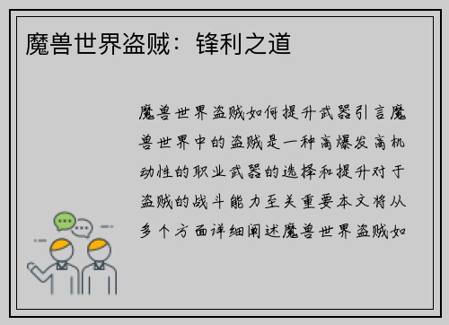 魔兽世界盗贼：锋利之道