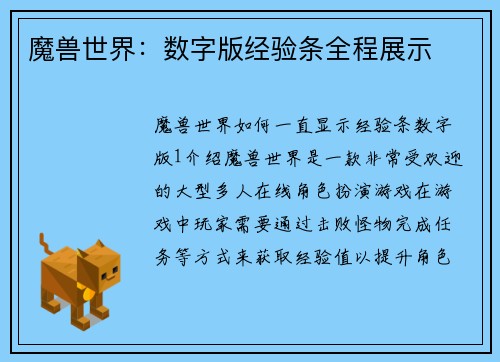 魔兽世界：数字版经验条全程展示